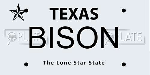 BISON Texas License Plate