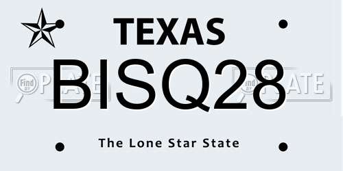 BISQ28 Texas License Plate
