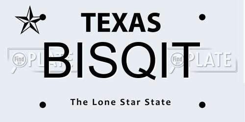 BISQIT Texas License Plate