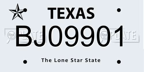BJ09901 Texas License Plate