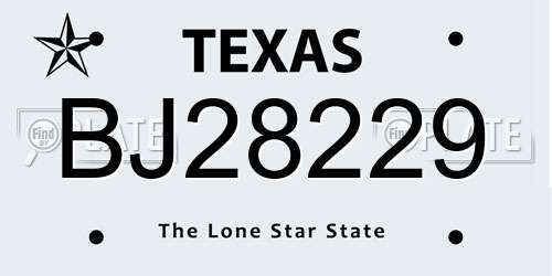BJ28229 Texas License Plate