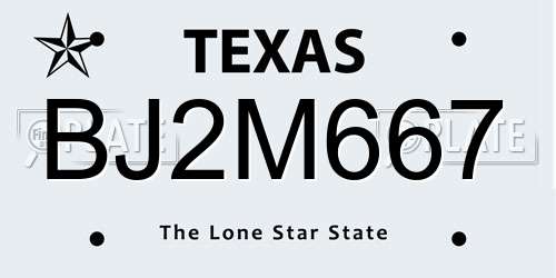 BJ2M667 Texas License Plate