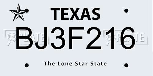 BJ3F216 Texas License Plate