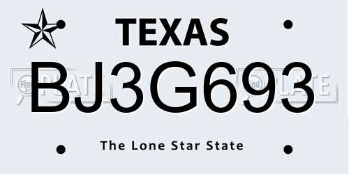 BJ3G693 Texas License Plate