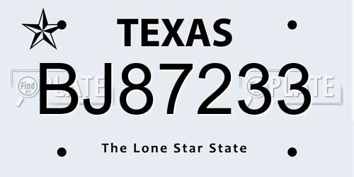 BJ87233 Texas License Plate