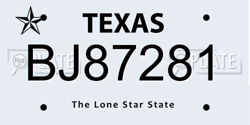 BJ87281 Texas License Plate