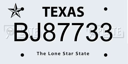 BJ87733 Texas License Plate