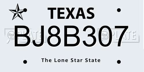 BJ8B307 Texas License Plate