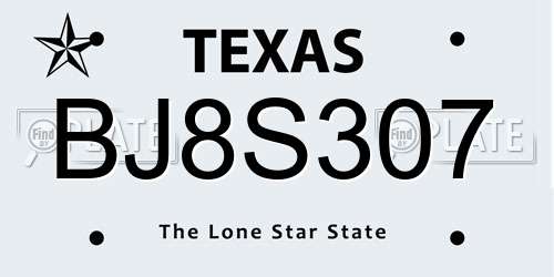 BJ8S307 Texas License Plate