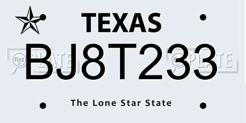 BJ8T233 Texas License Plate