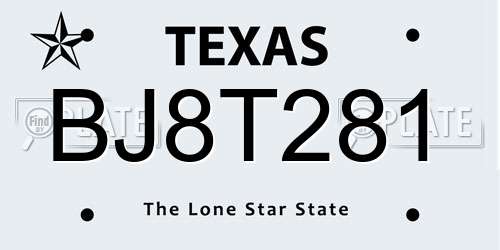 BJ8T281 Texas License Plate
