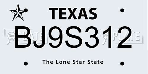 BJ9S312 Texas License Plate