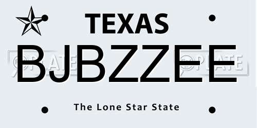 BJBZZEE Texas License Plate