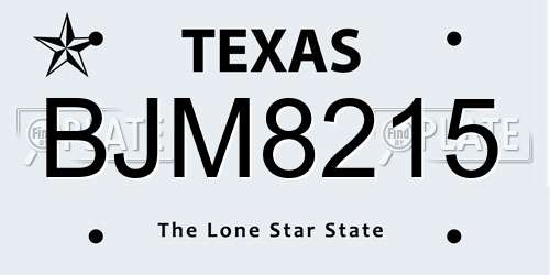 BJM8215 Texas License Plate