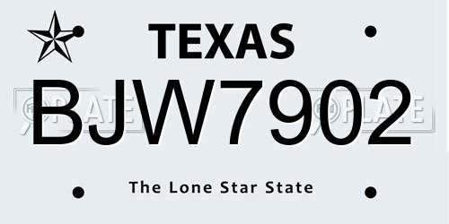 BJW7902 Texas License Plate