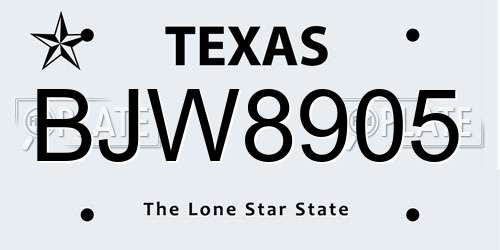 BJW8905 Texas License Plate