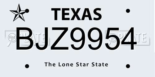 BJZ9954 Texas License Plate