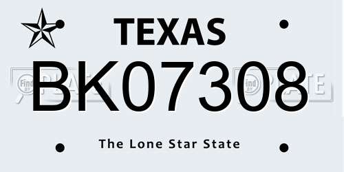 BK07308 Texas License Plate