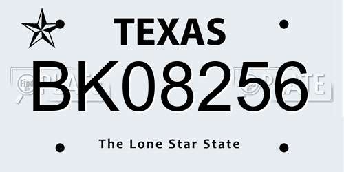 BK08256 Texas License Plate