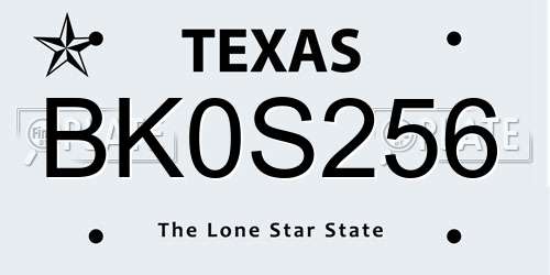 BK0S256 Texas License Plate