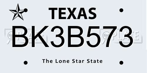 BK3B573 Texas License Plate