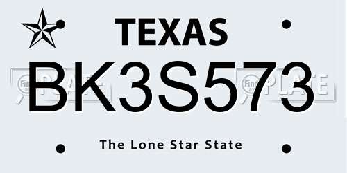 BK3S573 Texas License Plate