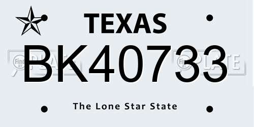 BK40733 Texas License Plate