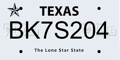 BK7S204 Texas License Plate