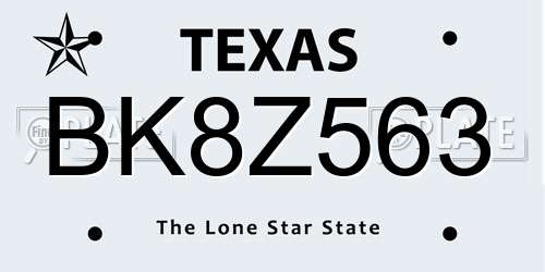 BK8Z563 Texas License Plate