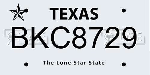 BKC8729 Texas License Plate