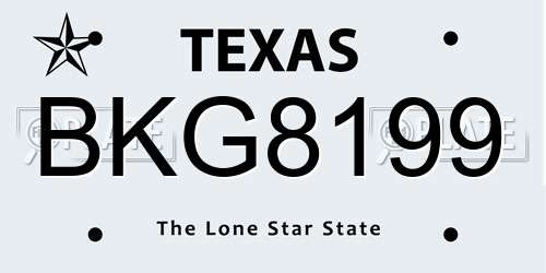 BKG8199 Texas License Plate