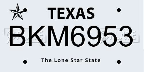 BKM6953 Texas License Plate