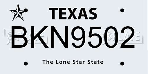 BKN9502 Texas License Plate