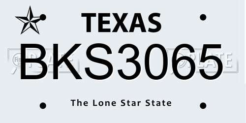 BKS3065 Texas License Plate