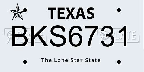 BKS6731 Texas License Plate