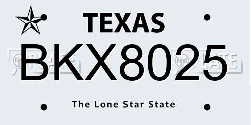 BKX8025 Texas License Plate