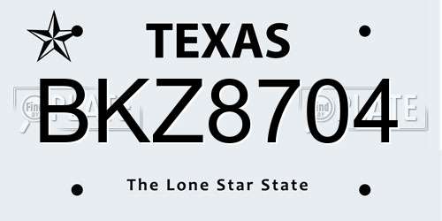 BKZ8704 Texas License Plate