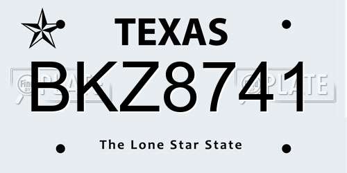 BKZ8741 Texas License Plate