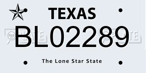 BL02289 Texas License Plate