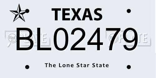 BL02479 Texas License Plate