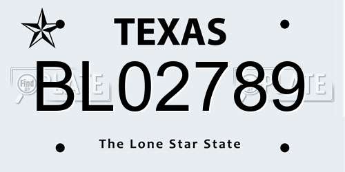 BL02789 Texas License Plate