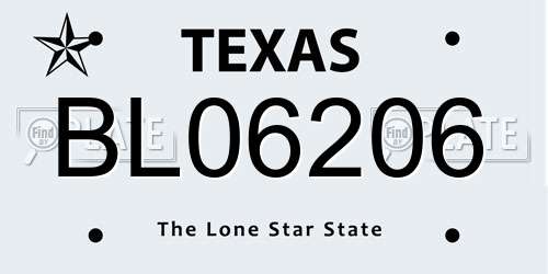 BL06206 Texas License Plate