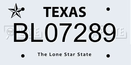 BL07289 Texas License Plate