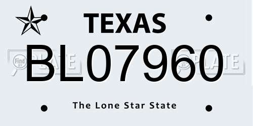 BL07960 Texas License Plate