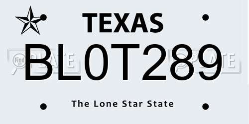 BL0T289 Texas License Plate