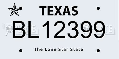 BL12399 Texas License Plate
