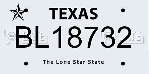 BL18732 Texas License Plate