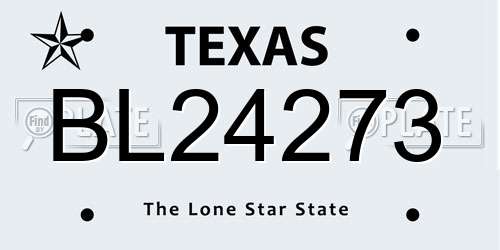 BL24273 Texas License Plate