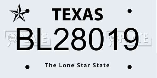 BL28019 Texas License Plate