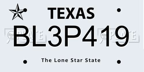 BL3P419 Texas License Plate